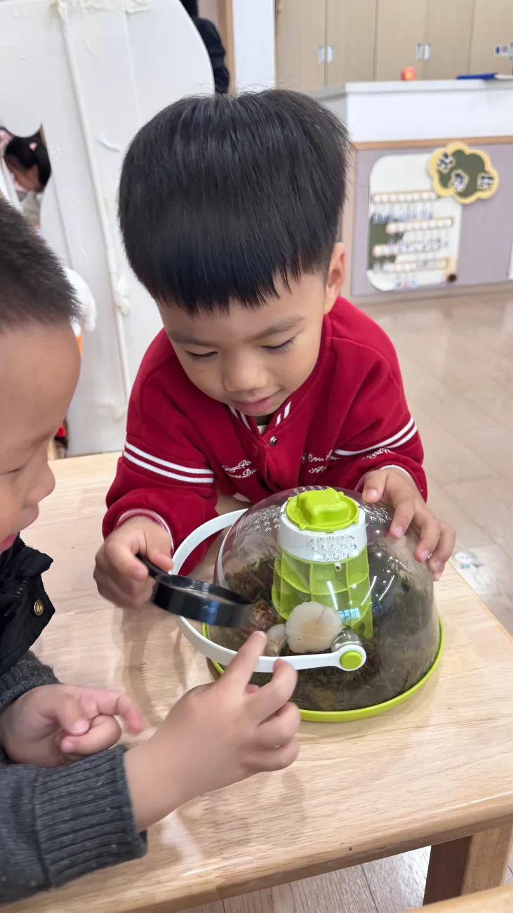 成长影像 55